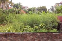 Sẽ xem xét cho chuyển mục đích sử dụng đất xen kẽ liền kề hộ dân