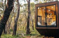 Cabin tí hon giữa rừng cho phép con người “ngắt kết nối” để… kết nối với thiên nhiên