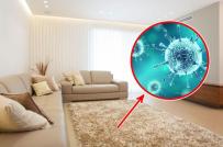 12 thứ âm thầm gây ô nhiễm không khí trong nhà bạn