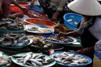 Ghé chợ cá bên sông Hoài