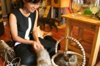 Độc đáo quán café mèo tại đất Hà Thành