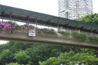 Singapore thành phố xanh nhất châu Á