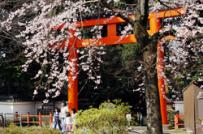 Sức quyến rũ của thành phố cổ Kyoto