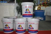 Mova color 30PC: Vữa màu vừa chống thấm, vừa trang trí