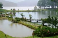 Cấm rao bán biệt thự tại hồ Tuyền Lâm