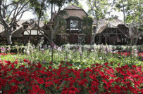 Ngắm Neverland Ranch: Nơi tĩnh dưỡng cuối cùng của Michael Jackson