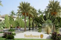 Ra mắt biệt thự triệu đô Sunflower Villas