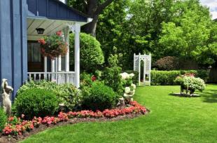 7 lời khuyên hàng đầu để có một khu vườn đẹp