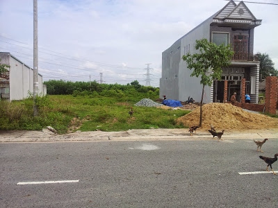 Hình ảnh có liên quan