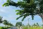 Đất nền Dự Án King Hill, giáp ranh TPHCM