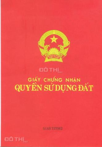 Đất Bưng Ông Thoàn, phường Phú Hữu, Quận 9, giá cần bán 5084433