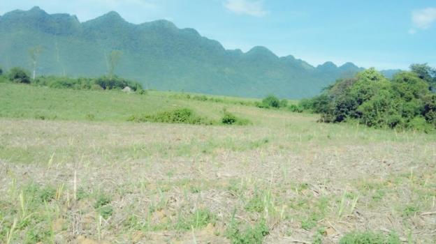Bán đất đã có dự án trại bò, diện tích 20 ha, vị trí đẹp đất bằng phẳng 6433724
