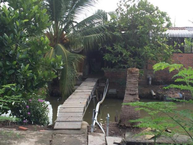 Do định cư nước ngoài cần bán lại căn biệt thự sân vườn tại huyện Thủ Thừa 6477401