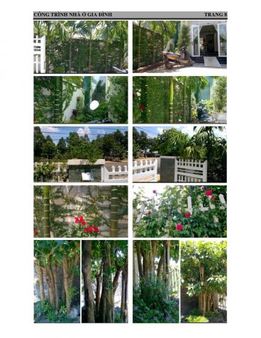 Bán nhà mặt phố đẹp, đối diện khu nhà khách tỉnh Bình Phước (P. Tân Phú, TX Đồng Xoài, Bình Phước) 6432497
