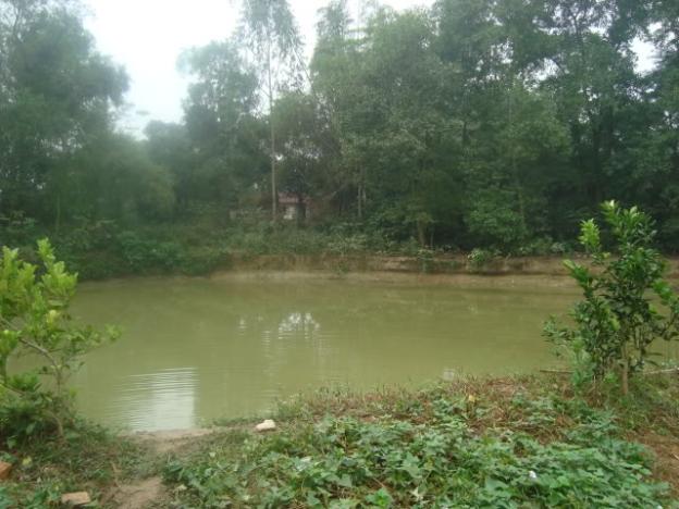 Bán vườn cây QL 20, Hà Lâm, Đạ Huoai, Lâm Đồng 4ha, giá 5.3 tỷ TL 6489480