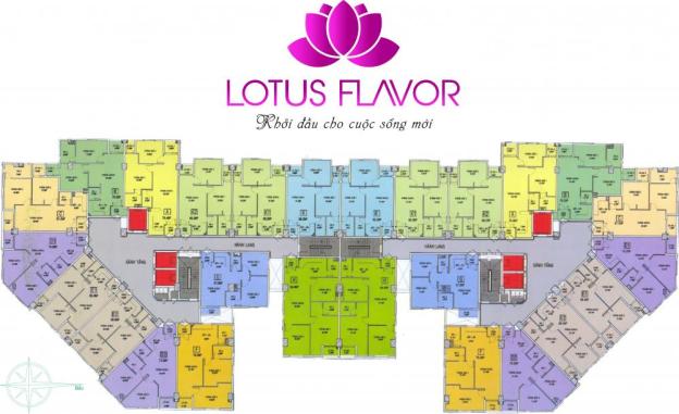 Lotus Flavor 915 triệu giá tốt nhất ngã 4 Âu Cơ - Lạc Long Quân - NH hỗ trợ 6749323