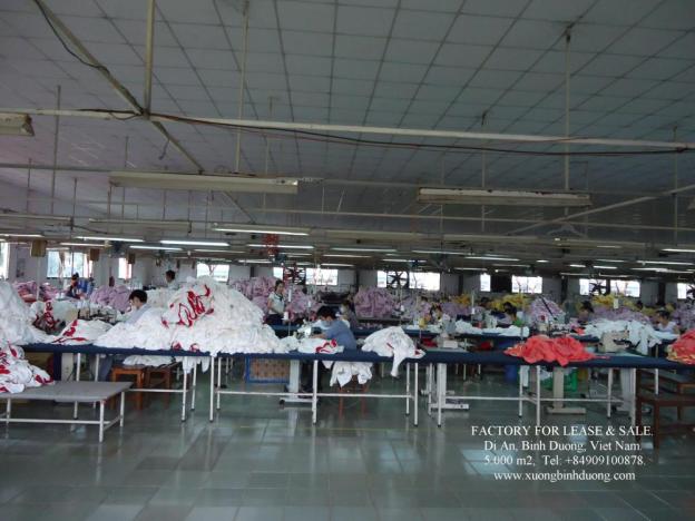 Cho thuê xưởng may 5000m2, KV 10000m2, nằm trong khu công nghiệp VSIP1, Thuận An, Bình Dương 6059521