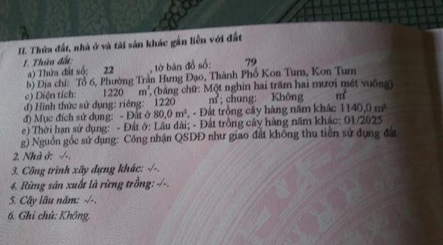 Bán đất ở diện tích 1220m2 ngay P. Trần Hưng Đạo, Kon Tum, liên hệ: 0933.07.73.07 6645563