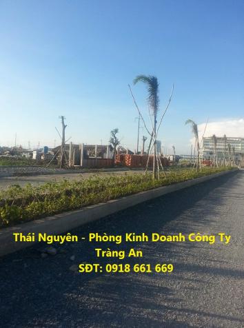 Bán đất nền tại khu dân cư Tràng An - Bạc Liêu, LH: 0918 661 669 6978051