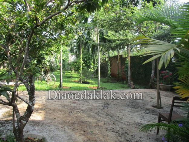 Nhà vườn 2,8 sào cuối Phan Huy Chú (kiểu nhà Đà Lạt) – có ao cá, vườn cây ăn trái giá hấp dẫn 7022038