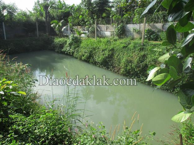 Nhà vườn 2,8 sào cuối Phan Huy Chú (kiểu nhà Đà Lạt) – có ao cá, vườn cây ăn trái giá hấp dẫn 7022038