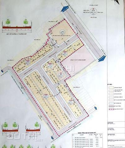 Bán dự án đất phân lô trường chuyên Thái Bình cũ 7053744