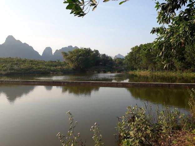 Cần bán 5ha đất rừng rẻ đẹp làm trang trại trồng cây ăn quả tại Lương Sơn, Hòa Bình 7233159