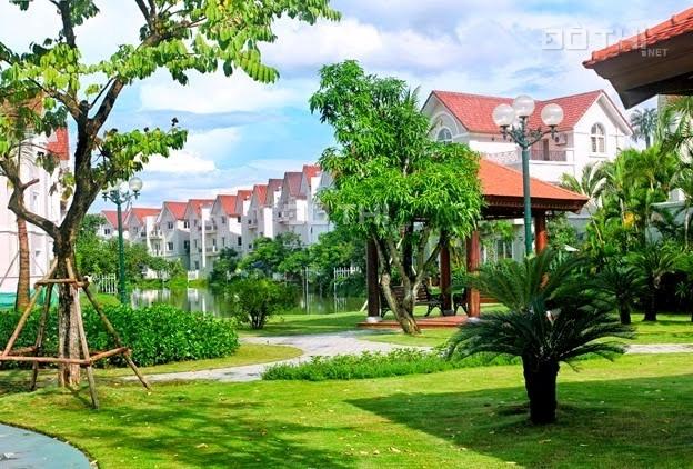 Bán gấp biệt thự khu Hoa Sữa 3 dt 200m2, Đông Nam, sông rộng kdt Vinhomes Riverside Long Biên, HN 7161392