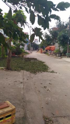 Đất sổ hồng riêng, khu dân cư Phú Nhuận đối diện ủy ban Q12 7180109