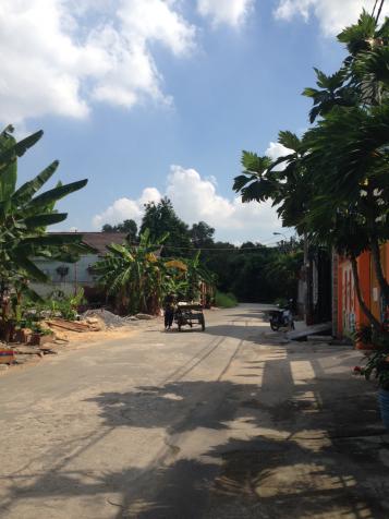 Đất sổ đỏ xây trọ khu bình dân Hiệp Bình Chánh gần Phạm Văn Đồng 7224698