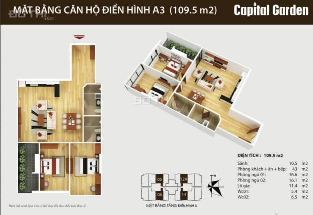 Bán 7 căn hướng đẹp, view đẹp, giá từ 30 tr/m2 tại chung cư Capital Garden 102 Trường Chinh 7339719