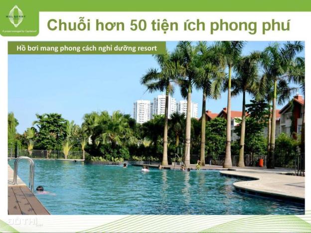 Chung cư Mulberry Lane TT 30%“ ở trước trả sau” với chiết khấu lên tới 1 tỷ đồng 7384399