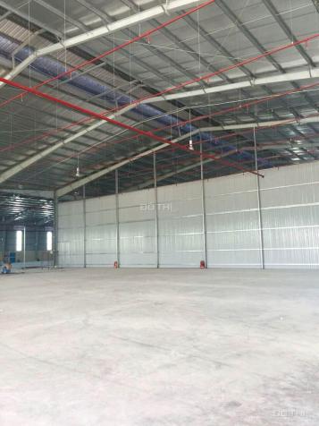 Cho thuê đất Quận 7 – Đường Hoàng Quốc Việt (DT 13.000m2) 7436025