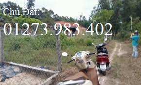 Bán đất tại xã Thanh Phước, Gò Dầu, Tây Ninh 7522857