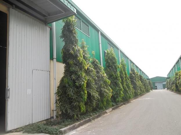 Cho thuê nhà xưởng 5000 m2, trong KCN Tân Đô, Đức Hòa, Long An 7533271