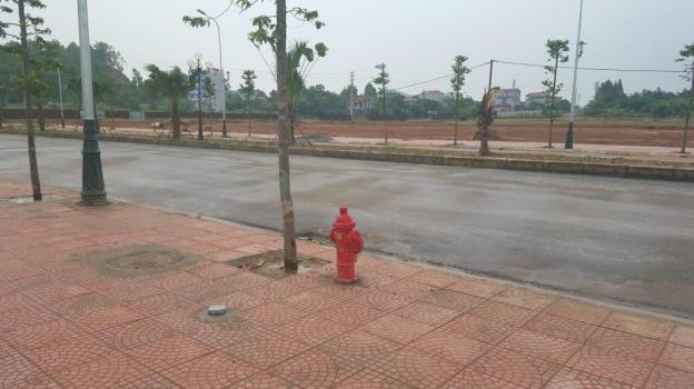 Bán đất KĐT Nam Vĩnh Yên, đã có sổ đỏ, hạ tầng đầy đủ và dân cư về xây dựng (LH: 0979.629.620) 7605567