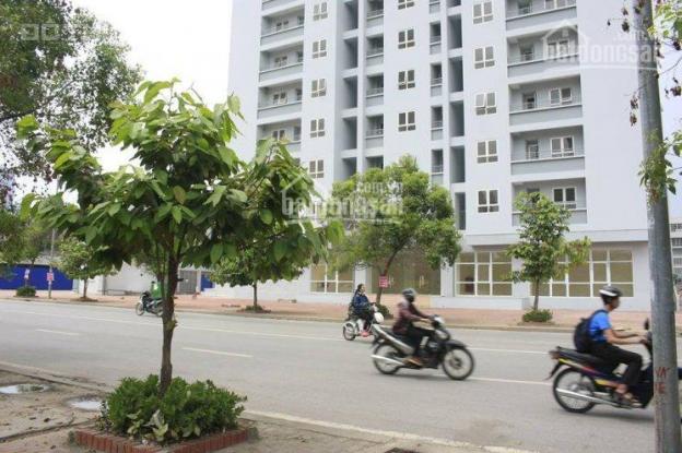 Cần bán gấp căn hộ 52.74m2 chung cư A14 Nam Trung Yên, nhận nhà ở ngay 7628988