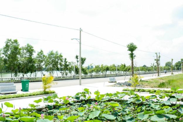 730tr/nền tại thiên đường sinh thái Kingston Residence HCM 8153757