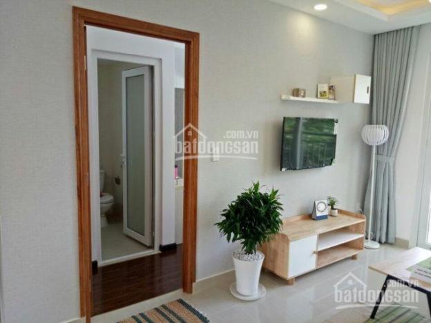 Bán căn hộ ngay chợ Tân Hương, dt 56m2, nhà mới đẹp, view hồ bơi 8134112