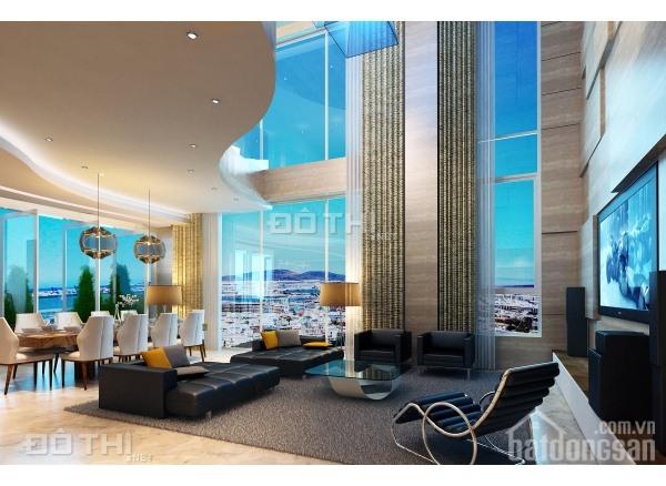 Chính chủ bán penthouse 739m2 Sunrise City khu South, nhà thô, tặng gói thiết kế nội thất 7695142