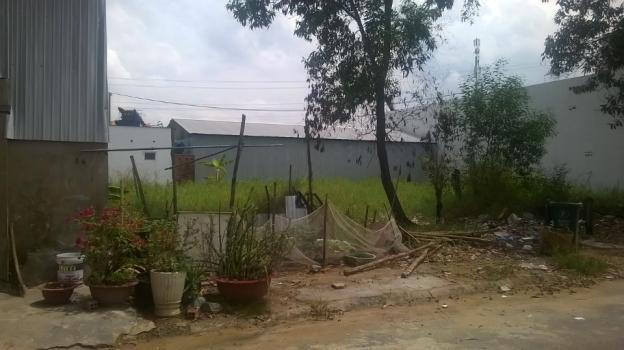 Bán đất thổ cư tại đường Nguyễn Văn Tạo, Xã Long Thới, Nhà Bè, TP. HCM diện tích 112m2 giá 1.5 tỷ 7816018