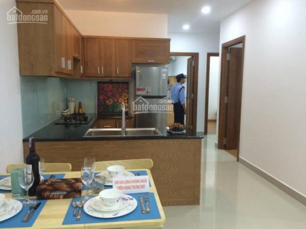 4CK thêm cho khách hàng 20tr/căn, Tân Bình Apartment 7927482