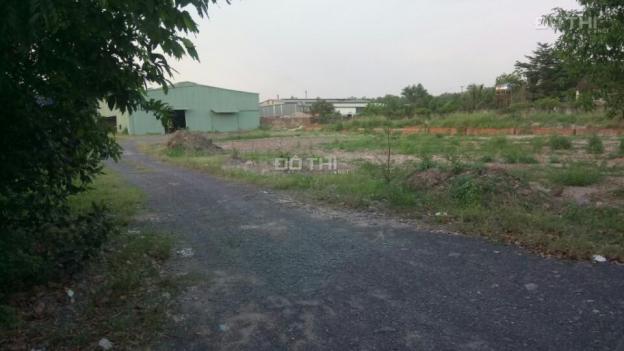 Bán đất sào đường Võ Nguyên Giáp, xã Phước Tân: 10000m2, giá 1 tỷ 200 triệu 7804672