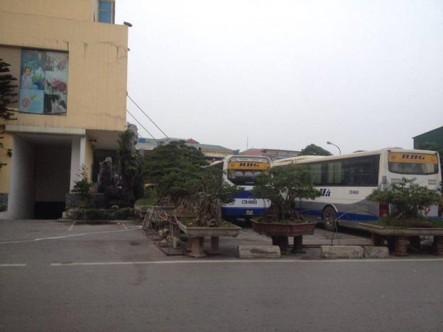 Bán nhà mặt phố bến xe Hoàng Hà, TP Thái Bình. 3 tỷ, 63m2, MT 6m, vỉa hè, kinh doanh cực tốt 7980853