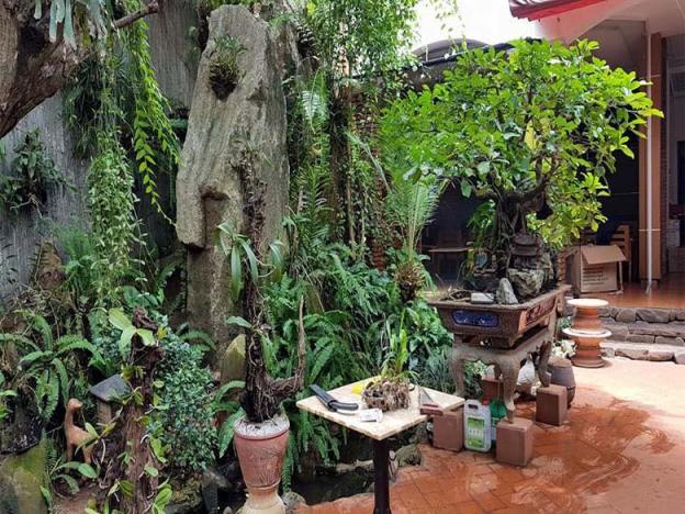Bán nhà Buôn Ma Thuột - Quán cà phê sân vườn kiêm nhà ở 7998825