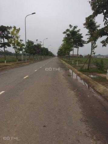 Bán đất nền dự án khu đô thị Nam Vĩnh Yên 7952473