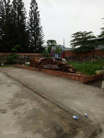 Bán đất rẻ định cư sau trường tiểu học Bình Thuận, Thuận An, Bình Dương 7965554