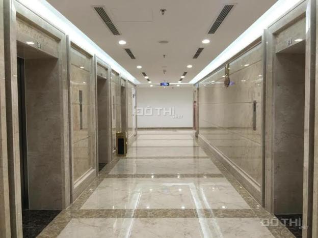 (0916.242.628) cho thuê chung cư Royal City 50m2, 1pn, full đồ 16 triệu/th 7975430