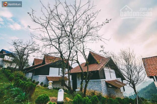 Để tránh nóng mùa hè, hãy mua biệt thự hoặc nhà phố Sapa Jade Hill chỉ từ 3,5 tỷ view thung lũng 8217125