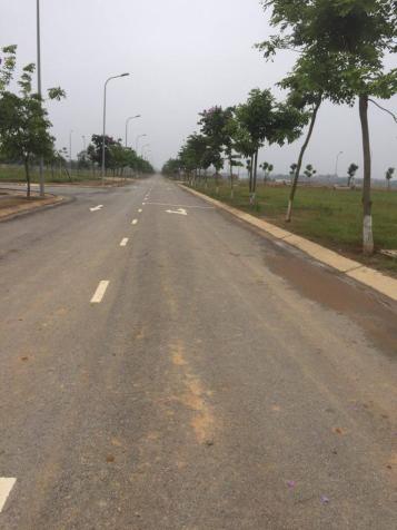 Bán đất nền dự án khu đô thị Nam Vĩnh Yên 8179519